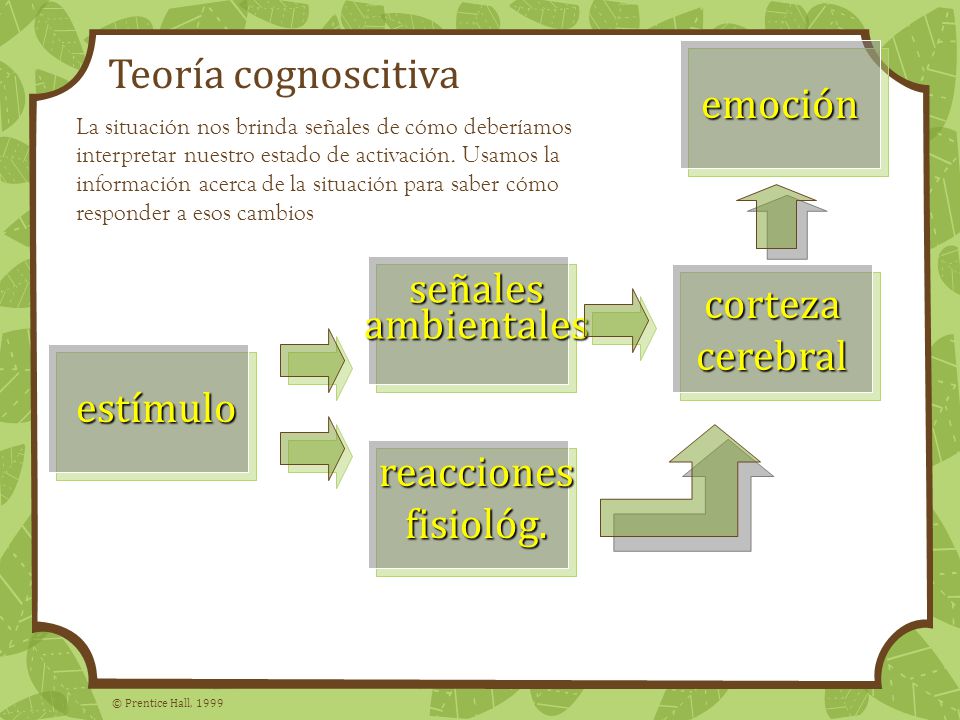 Teoría cognoscitiva emoción señales ambientales corteza cerebral