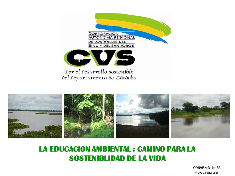 LA EDUCACION AMBIENTAL : CAMINO PARA LA SOSTENIBLIDAD DE LA VIDA