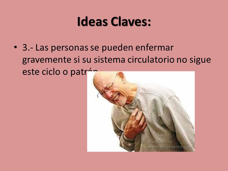 Ideas Claves: 3.- Las personas se pueden enfermar gravemente si su sistema circulatorio no sigue este ciclo o patrón.