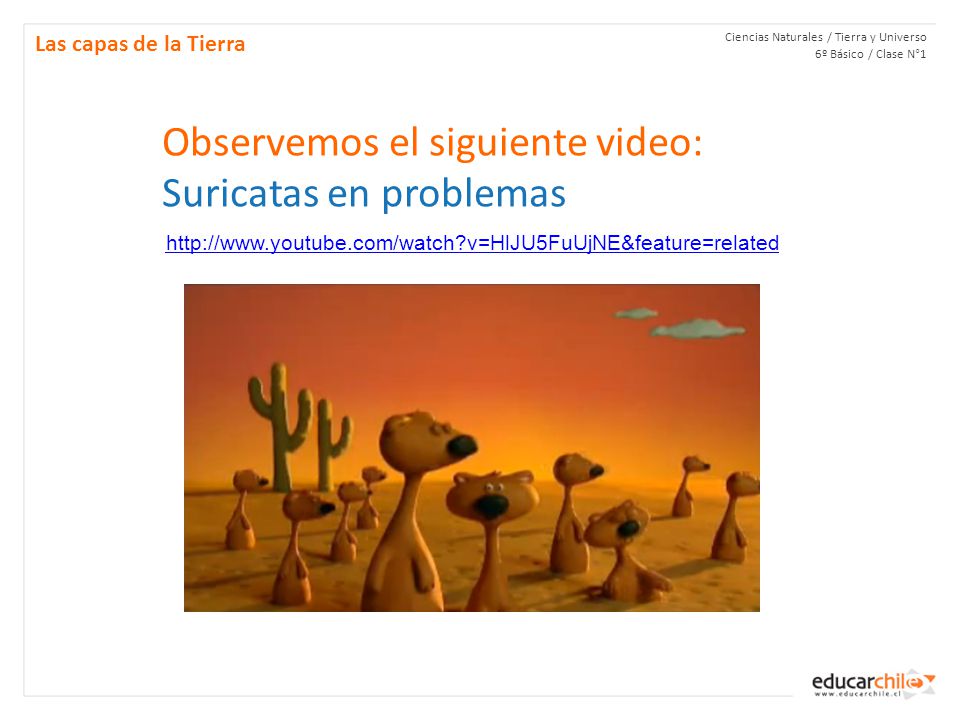 Observemos el siguiente video: Suricatas en problemas
