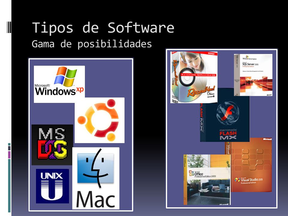 Tipos de Software Gama de posibilidades