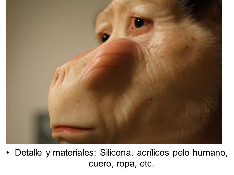 Detalle y materiales: Silicona, acrílicos pelo humano, cuero, ropa, etc.