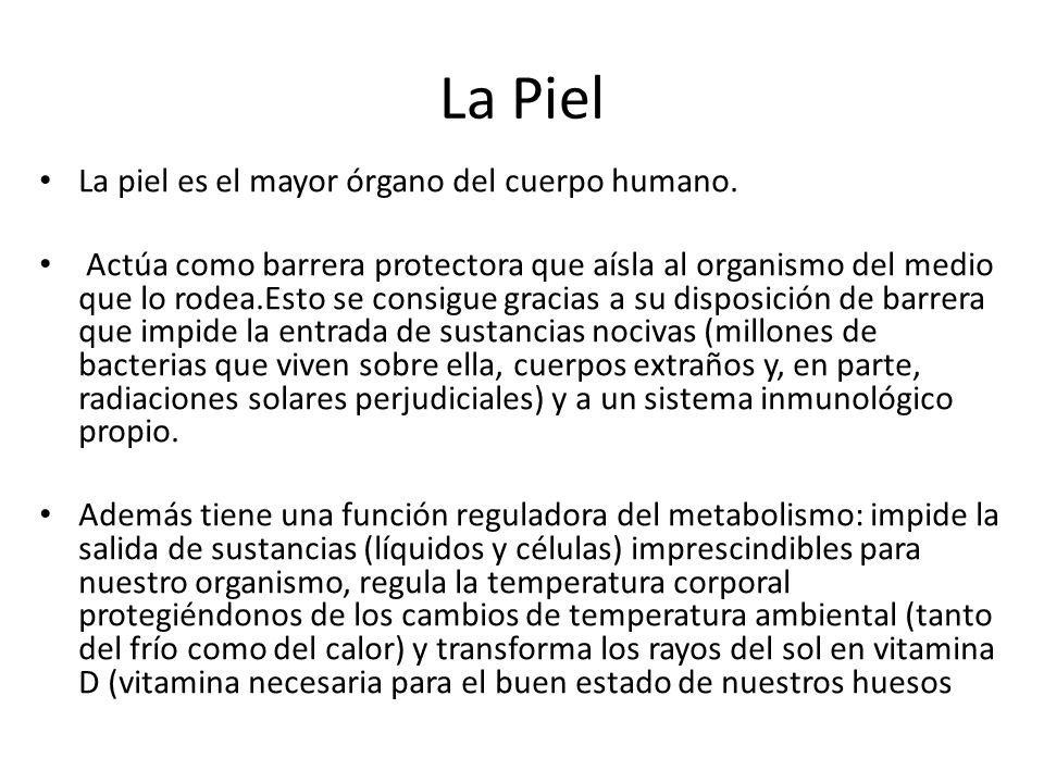 La Piel La piel es el mayor órgano del cuerpo humano.