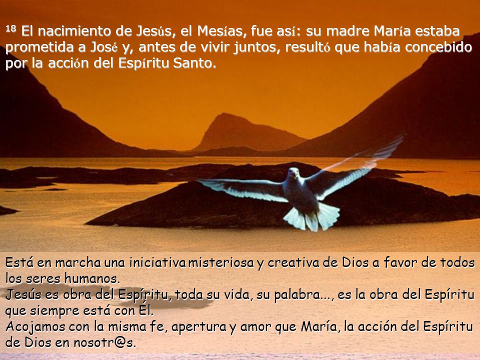 18 El nacimiento de Jesús, el Mesías, fue así: su madre María estaba prometida a José y, antes de vivir juntos, resultó que había concebido por la acción del Espíritu Santo.