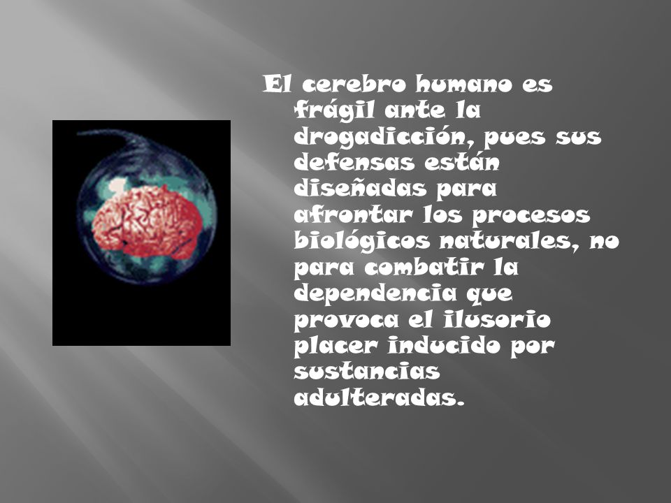 El cerebro humano es frágil ante la drogadicción, pues sus defensas están diseñadas para afrontar los procesos biológicos naturales, no para combatir la dependencia que provoca el ilusorio placer inducido por sustancias adulteradas.