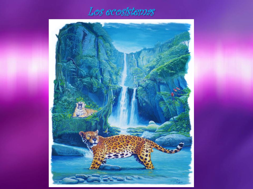 Los ecosistemas