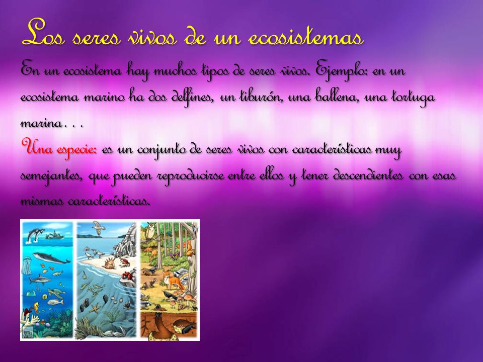 Los seres vivos de un ecosistemas En un ecosistema hay muchos tipos de seres vivos.