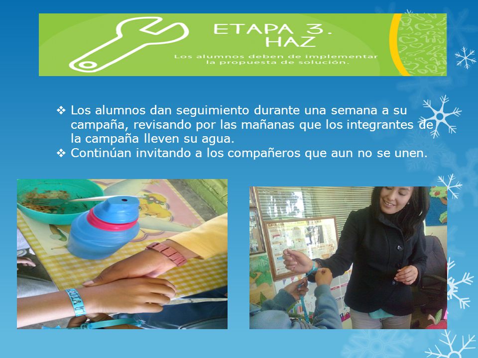 Los alumnos dan seguimiento durante una semana a su campaña, revisando por las mañanas que los integrantes de la campaña lleven su agua.