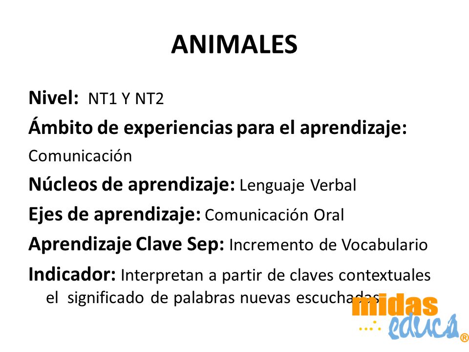 ANIMALES Nivel: NT1 Y NT2 Ámbito de experiencias para el aprendizaje: