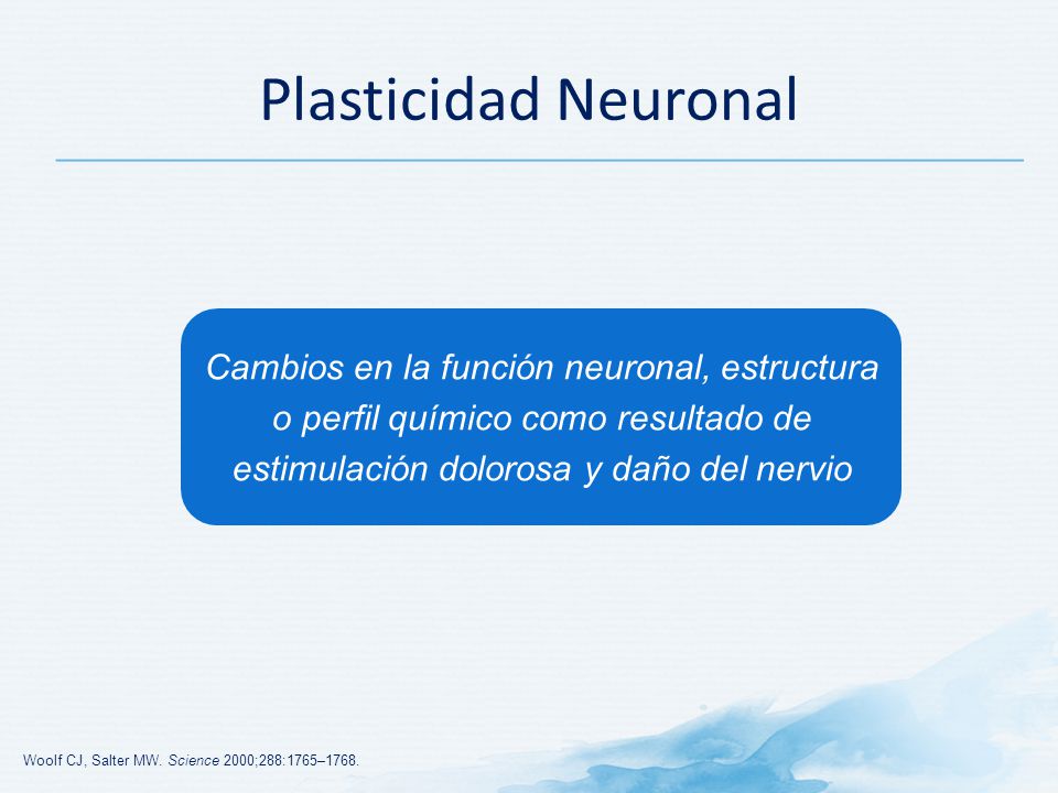 Plasticidad Neuronal Cambios en la función neuronal, estructura o perfil químico como resultado de estimulación dolorosa y daño del nervio.