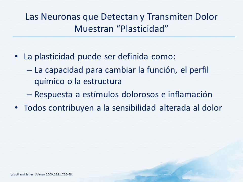 Las Neuronas que Detectan y Transmiten Dolor Muestran Plasticidad
