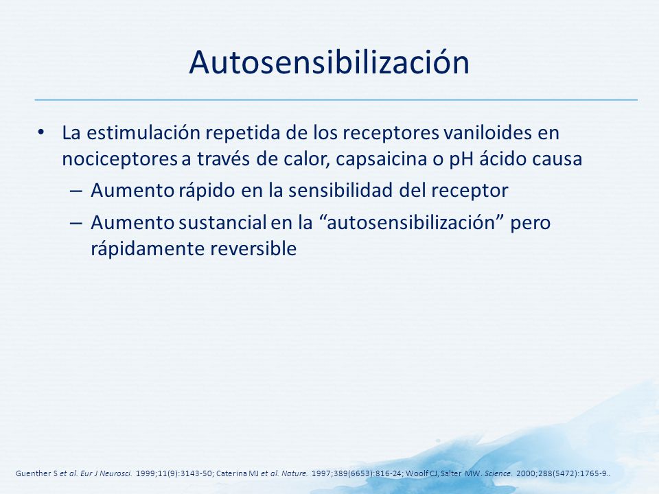 Autosensibilización La estimulación repetida de los receptores vaniloides en nociceptores a través de calor, capsaicina o pH ácido causa.