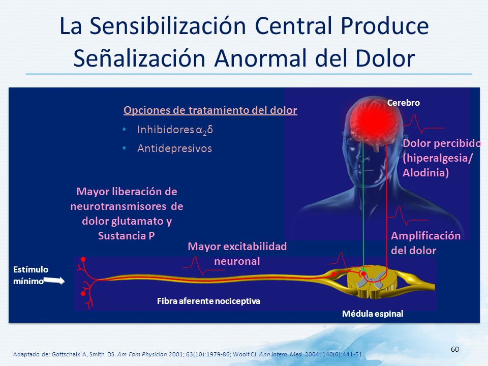 La Sensibilización Central Produce Señalización Anormal del Dolor