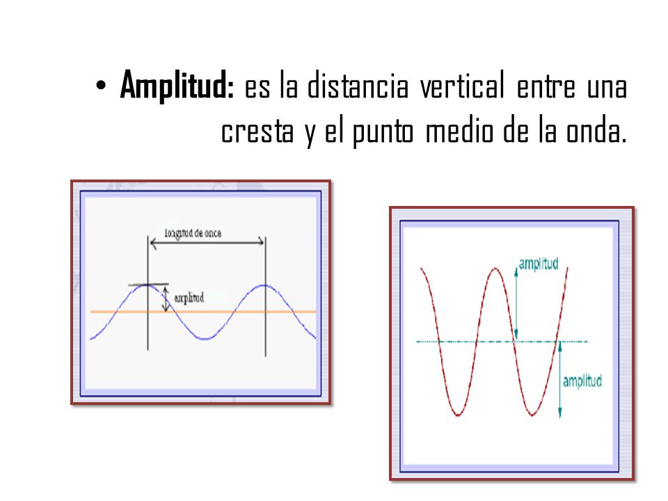 Amplitud: es la distancia vertical entre una cresta y el punto medio de la onda.