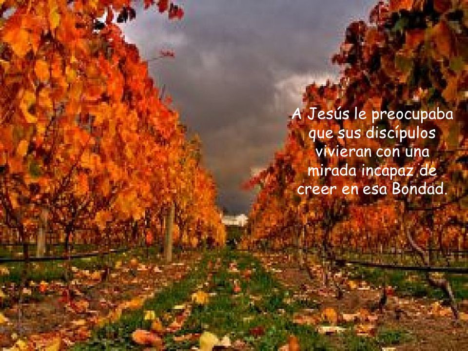 A Jesús le preocupaba que sus discípulos vivieran con una mirada incapaz de creer en esa Bondad.