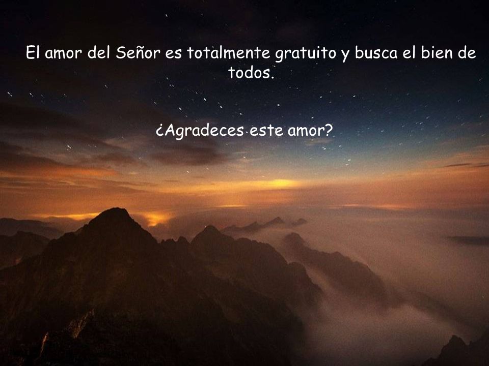 El amor del Señor es totalmente gratuito y busca el bien de todos.