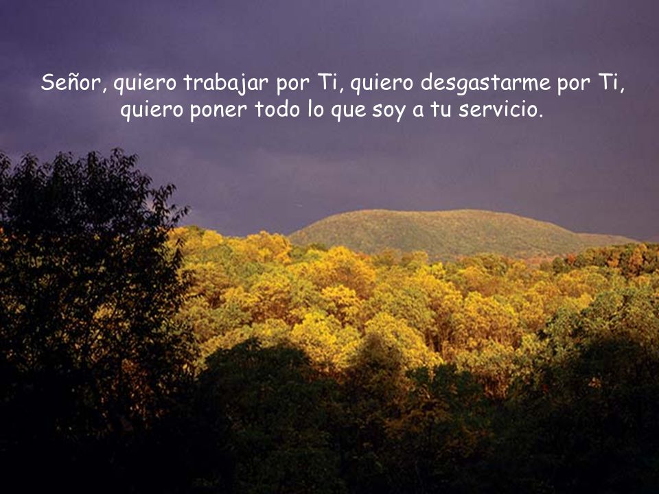 Señor, quiero trabajar por Ti, quiero desgastarme por Ti, quiero poner todo lo que soy a tu servicio.