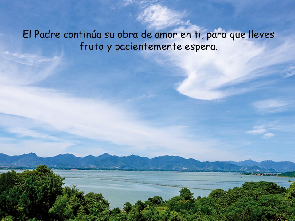 El Padre continúa su obra de amor en ti, para que lleves fruto y pacientemente espera.