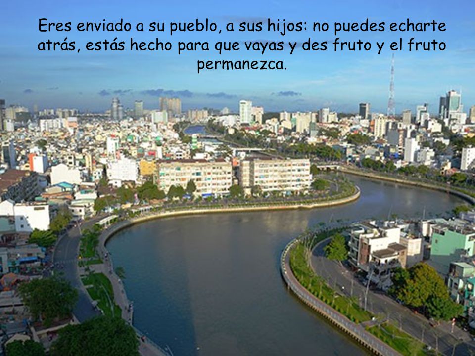 Eres enviado a su pueblo, a sus hijos: no puedes echarte atrás, estás hecho para que vayas y des fruto y el fruto permanezca.