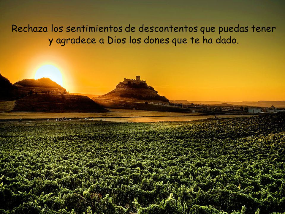 Rechaza los sentimientos de descontentos que puedas tener y agradece a Dios los dones que te ha dado.