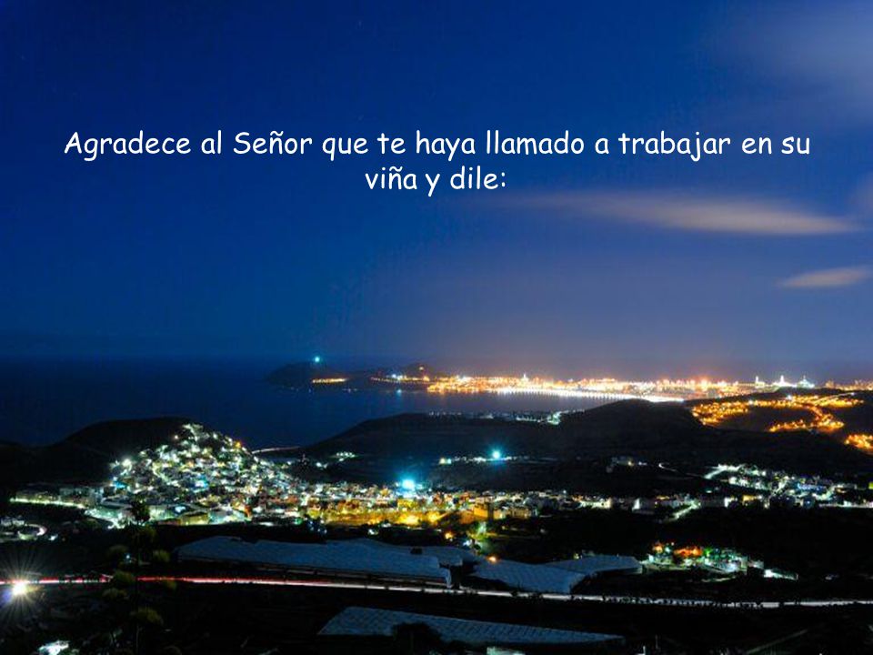 Agradece al Señor que te haya llamado a trabajar en su viña y dile: