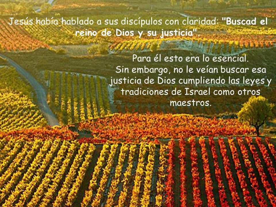 Jesús había hablado a sus discípulos con claridad: Buscad el reino de Dios y su justicia .