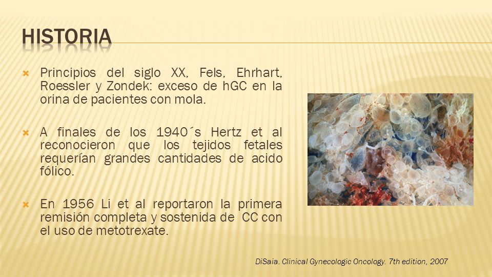 Historia Principios del siglo XX, Fels, Ehrhart, Roessler y Zondek: exceso de hGC en la orina de pacientes con mola.