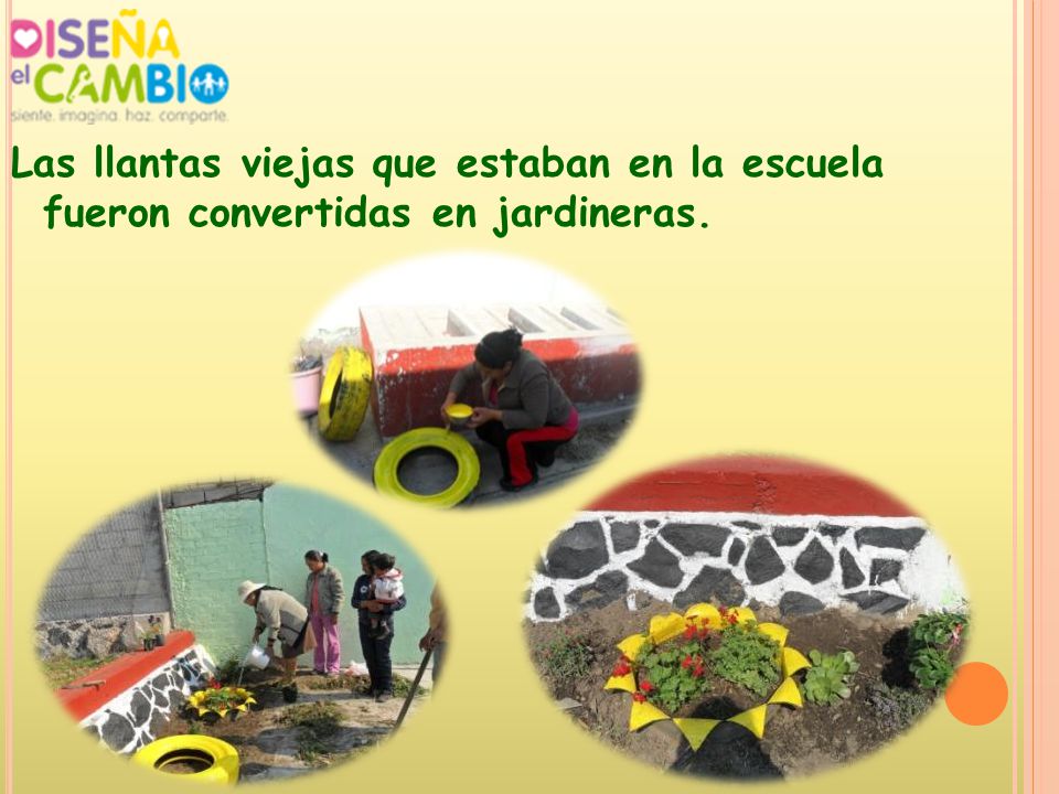 Las llantas viejas que estaban en la escuela fueron convertidas en jardineras.