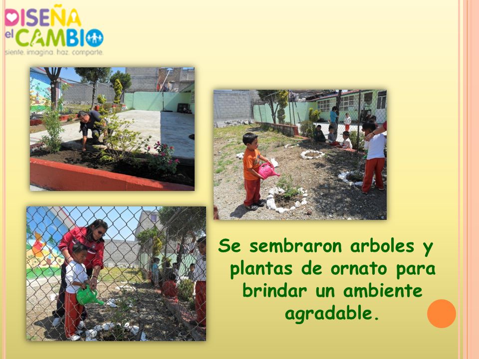 Se sembraron arboles y plantas de ornato para brindar un ambiente agradable.