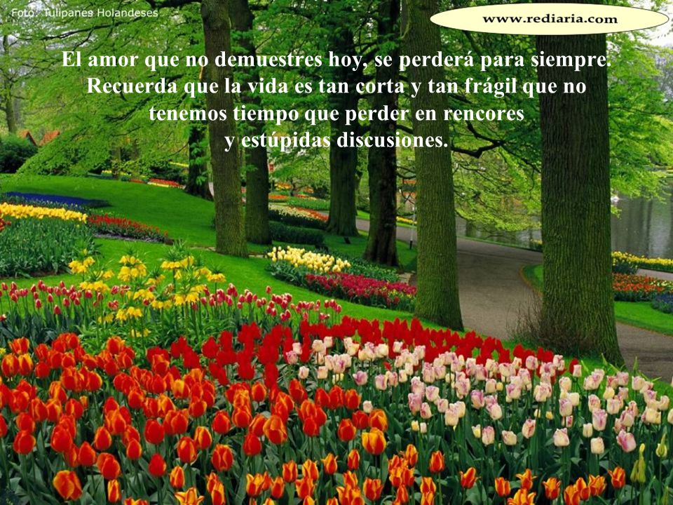 El amor que no demuestres hoy, se perderá para siempre