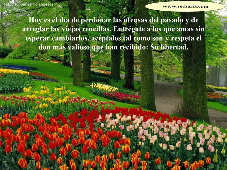 Hoy es el día de perdonar las ofensas del pasado y de arreglar las viejas rencillas.
