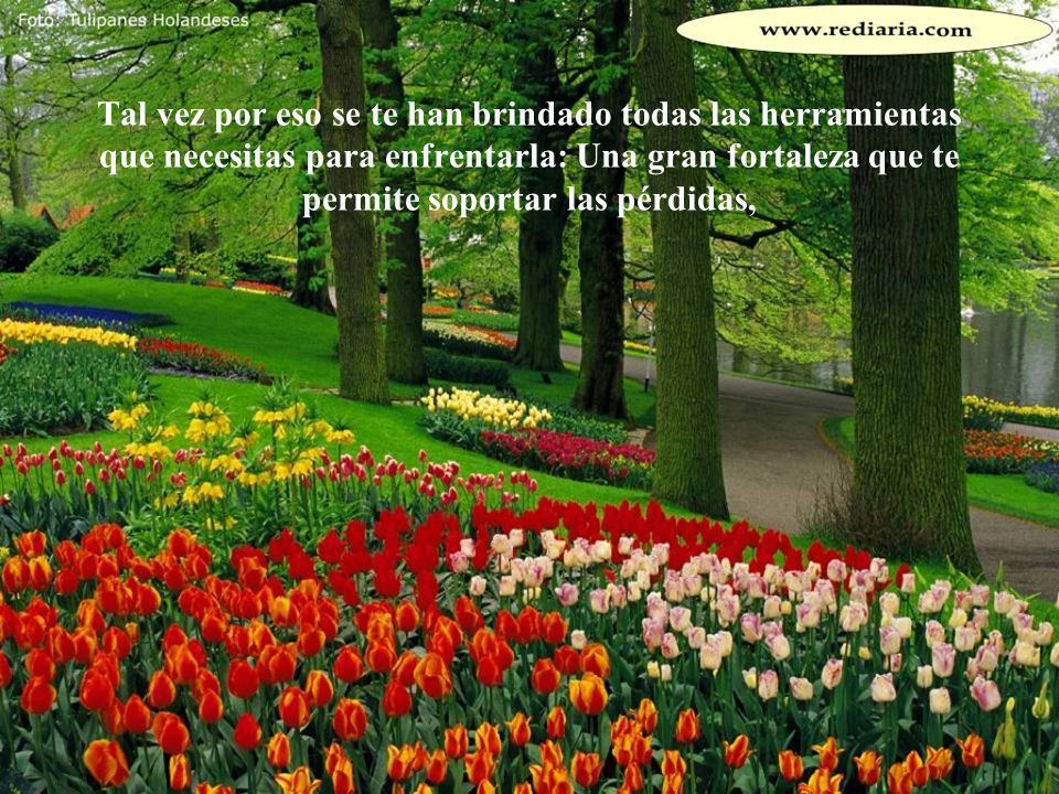 Tal vez por eso se te han brindado todas las herramientas que necesitas para enfrentarla: Una gran fortaleza que te permite soportar las pérdidas,