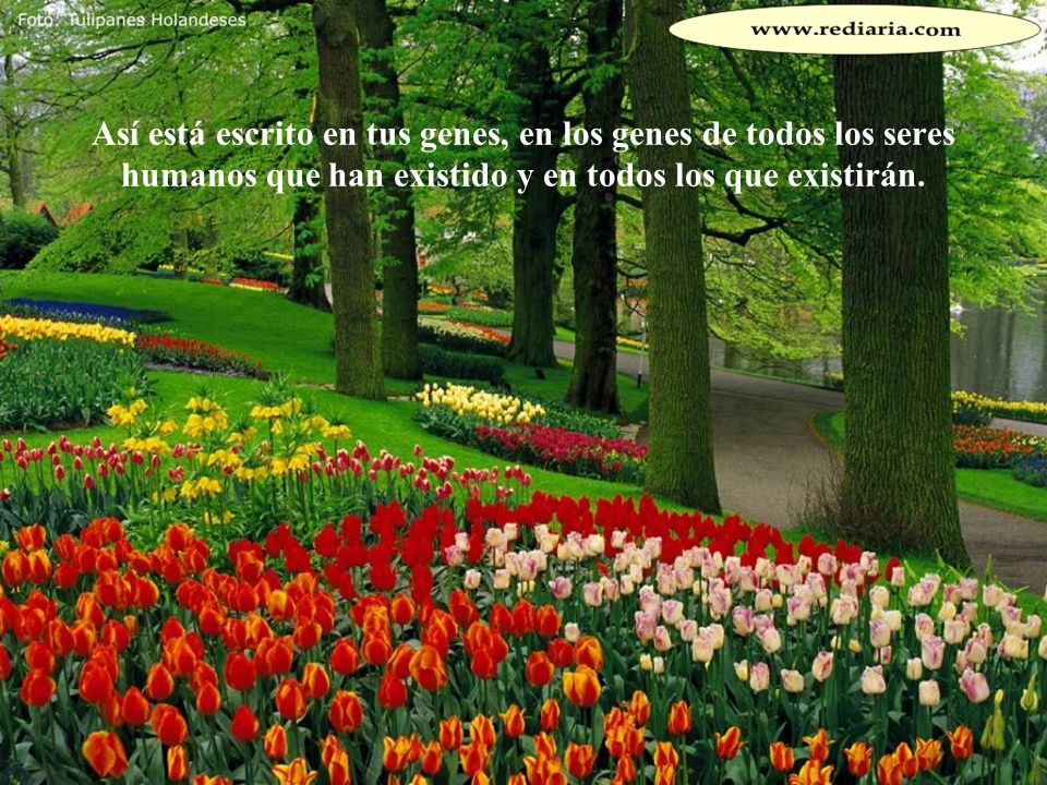 Así está escrito en tus genes, en los genes de todos los seres humanos que han existido y en todos los que existirán.