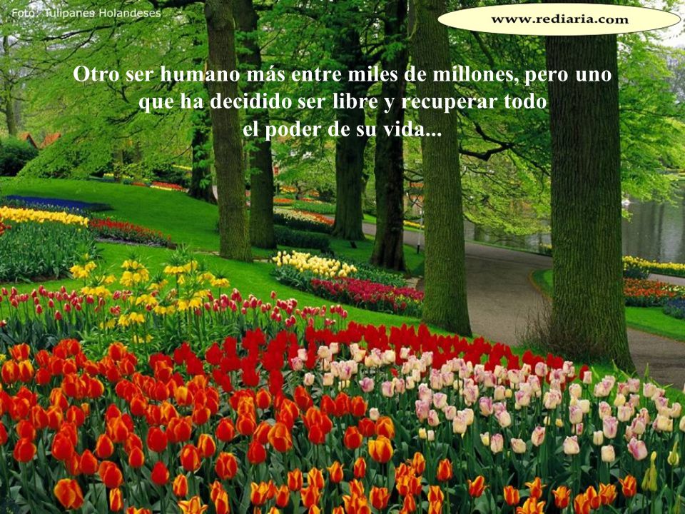 Otro ser humano más entre miles de millones, pero uno que ha decidido ser libre y recuperar todo el poder de su vida...