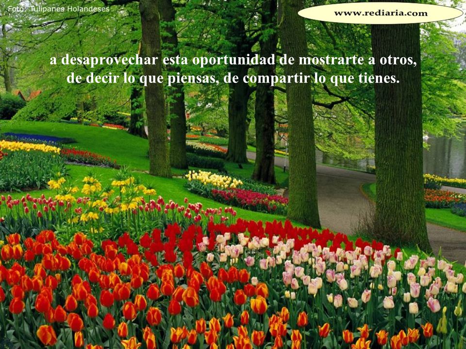 a desaprovechar esta oportunidad de mostrarte a otros, de decir lo que piensas, de compartir lo que tienes.