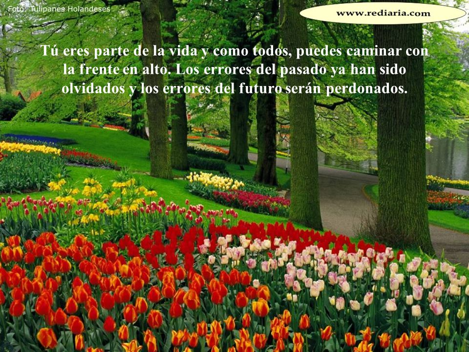 Tú eres parte de la vida y como todos, puedes caminar con la frente en alto.