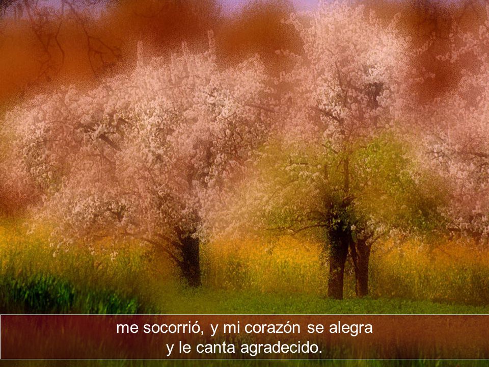 me socorrió, y mi corazón se alegra