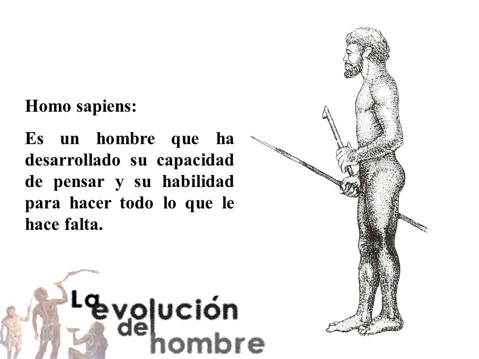 Homo sapiens: Es un hombre que ha desarrollado su capacidad de pensar y su habilidad para hacer todo lo que le hace falta.