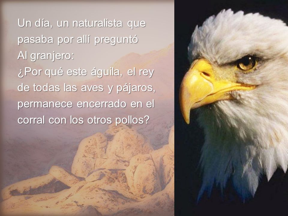 Un día, un naturalista que