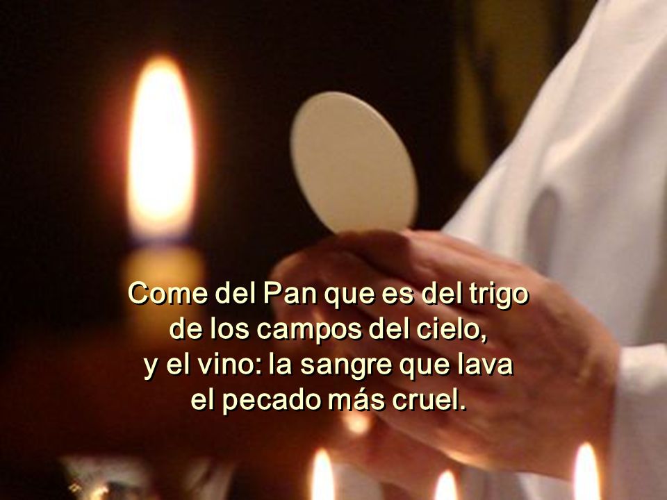 Come del Pan que es del trigo y el vino: la sangre que lava