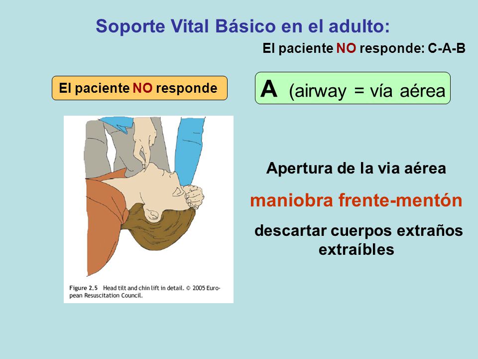 A (airway = vía aérea Soporte Vital Básico en el adulto: