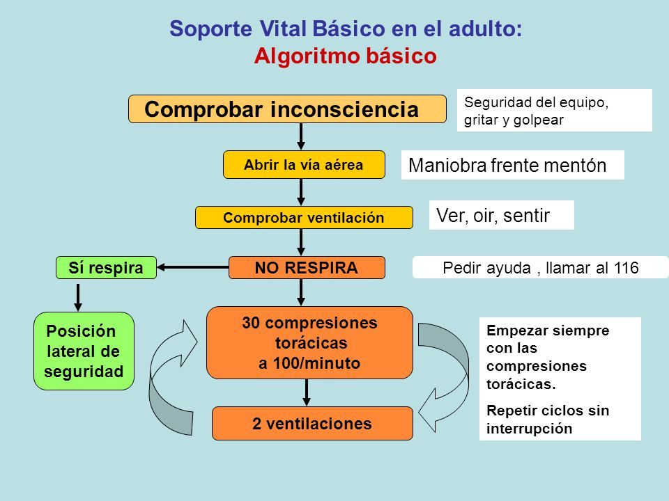 Soporte Vital Básico en el adulto: Algoritmo básico
