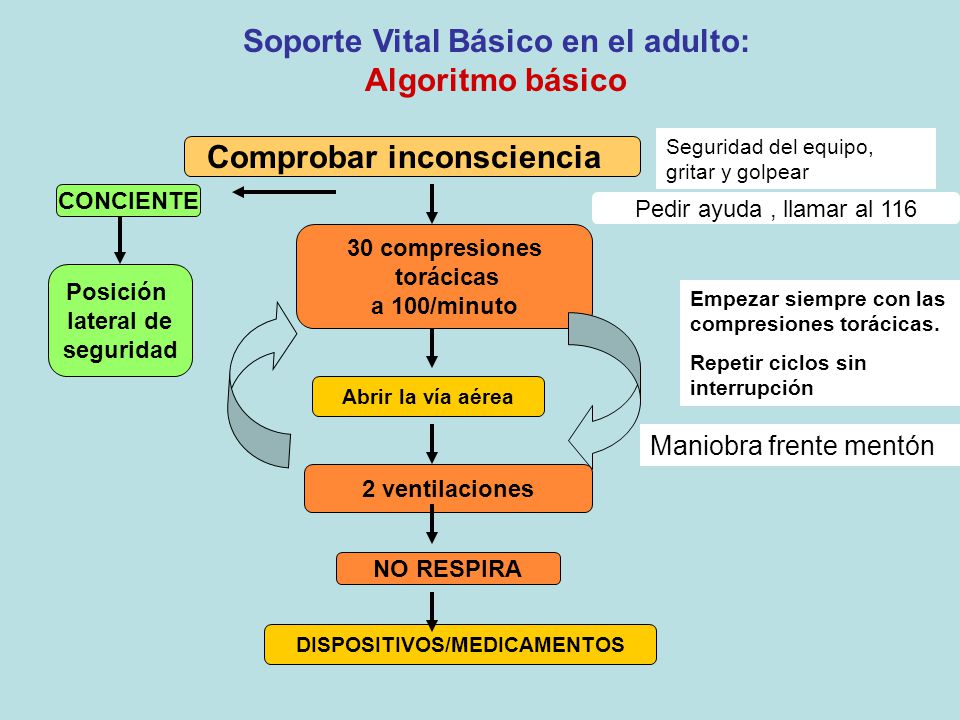 Soporte Vital Básico en el adulto: Algoritmo básico