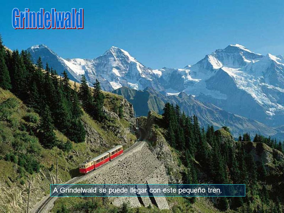 Grindelwald A Grindelwald se puede llegar con este pequeño tren.