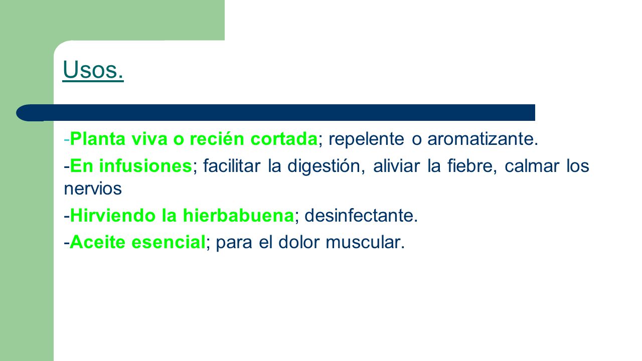 Usos. -Planta viva o recién cortada; repelente o aromatizante.
