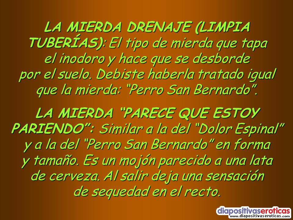 LA MIERDA DRENAJE (LIMPIA TUBERÍAS): El tipo de mierda que tapa el inodoro y hace que se desborde por el suelo. Debiste haberla tratado igual que la mierda: Perro San Bernardo .