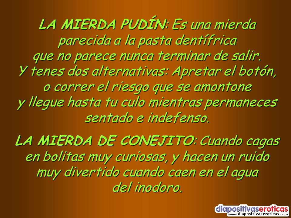 LA MIERDA PUDÍN: Es una mierda parecida a la pasta dentífrica que no parece nunca terminar de salir. Y tenes dos alternativas: Apretar el botón, o correr el riesgo que se amontone y llegue hasta tu culo mientras permaneces sentado e indefenso.