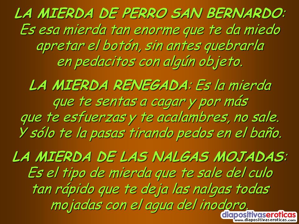 LA MIERDA DE PERRO SAN BERNARDO: Es esa mierda tan enorme que te da miedo apretar el botón, sin antes quebrarla en pedacitos con algún objeto.