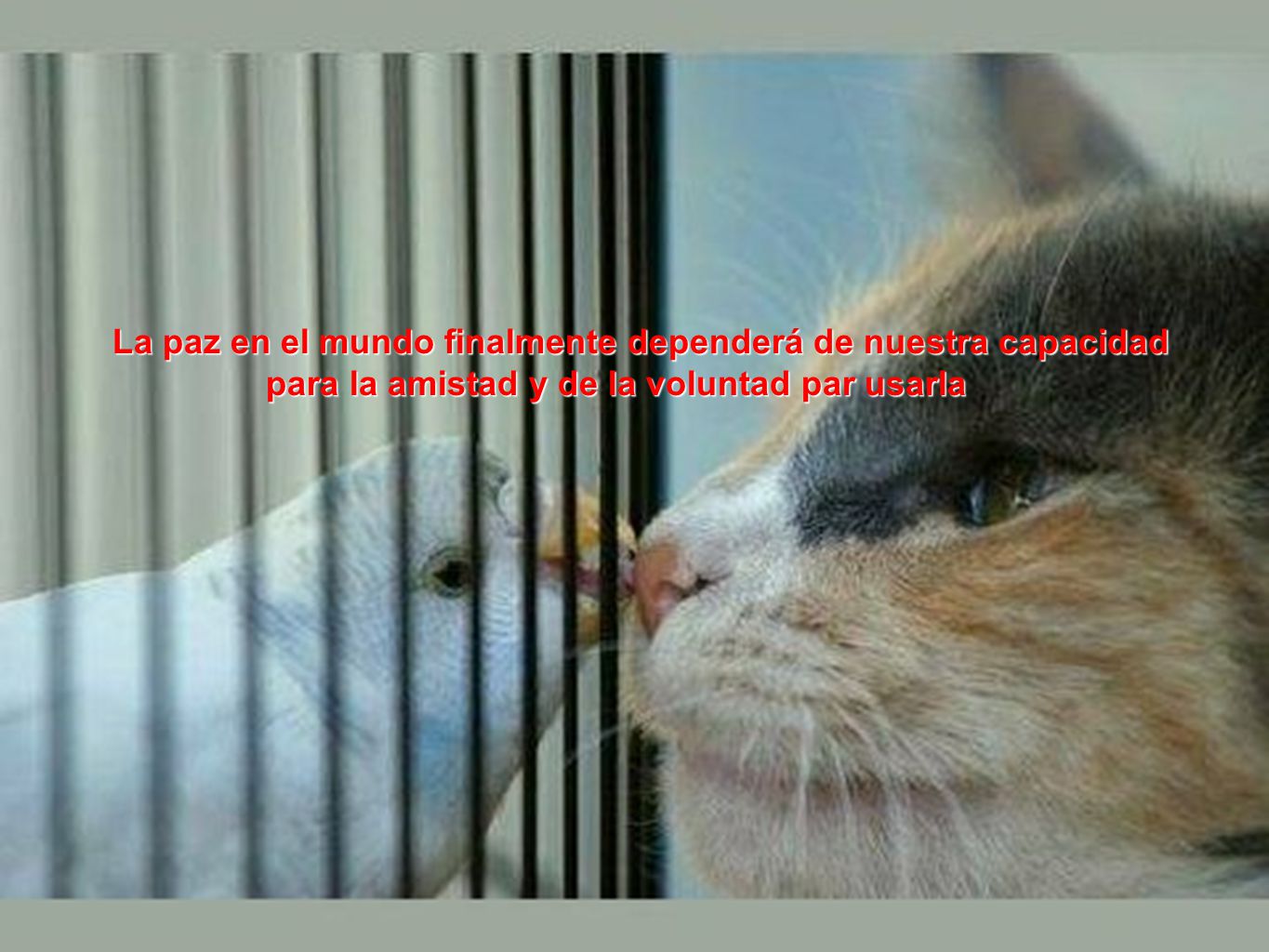 La paz en el mundo finalmente dependerá de nuestra capacidad