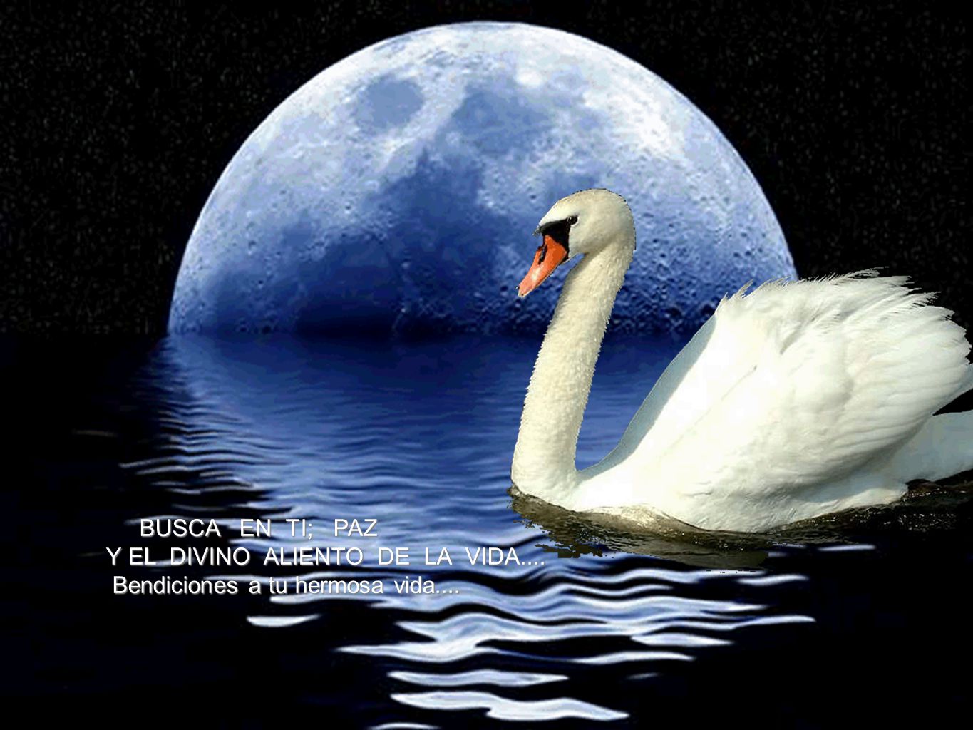 BUSCA EN TI; PAZ Y EL DIVINO ALIENTO DE LA VIDA.... Bendiciones a tu hermosa vida....